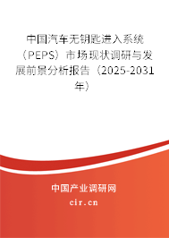中國汽車無鑰匙進入系統(tǒng)(PEPS)市場現(xiàn)狀調研與發(fā)展前景分析報告(2025-2031年) 中國汽車無鑰匙進入系統(tǒng)(PEPS)市場現(xiàn)狀調研與發(fā)展前景分析報告(2025-2031年)