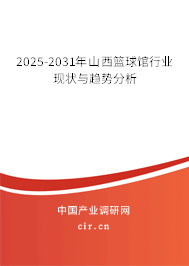 2025-2031年山西籃球館行業(yè)現(xiàn)狀與趨勢分析