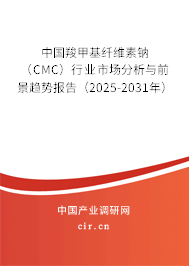 中國羧甲基纖維素鈉(CMC)行業(yè)市場分析與前景趨勢報告(2025-2031年) 中國羧甲基纖維素鈉(CMC)行業(yè)市場分析與前景趨勢報告(2025-2031年)