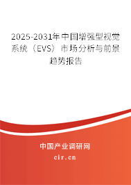 2025-2031年中國增強型視覺系統(tǒng)（EVS）市場分析與前景趨勢報告