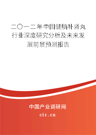 二〇一二年中國健腦補(bǔ)腎丸行業(yè)深度研究分析及未來發(fā)展前景預(yù)測報告 二〇一二年中國健腦補(bǔ)腎丸行業(yè)深度研究分析及未來發(fā)展前景預(yù)測報告