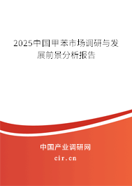 2025中國甲苯市場調(diào)研與發(fā)展前景分析報告