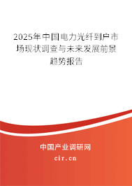2025年中國電力光纖到戶市場現(xiàn)狀調(diào)查與未來發(fā)展前景趨勢報(bào)告