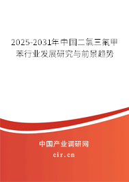 2025-2031年中國二氯三氟甲苯行業(yè)發(fā)展研究與前景趨勢 2025-2031年中國二氯三氟甲苯行業(yè)發(fā)展研究與前景趨勢