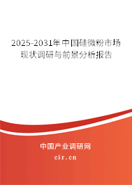 2025-2031年中國(guó)硅微粉市場(chǎng)現(xiàn)狀調(diào)研與前景分析報(bào)告 2025-2031年中國(guó)硅微粉市場(chǎng)現(xiàn)狀調(diào)研與前景分析報(bào)告