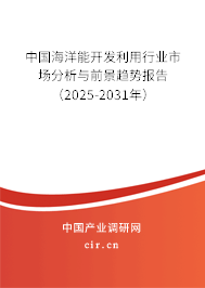 中國海洋能開發(fā)利用行業(yè)市場分析與前景趨勢報告（2025-2031年）