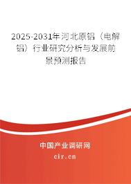 2025-2031年河北原鋁（電解鋁）行業(yè)研究分析與發(fā)展前景預(yù)測(cè)報(bào)告