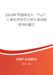 2025年中國激光頭（PUH）行業(yè)現(xiàn)狀研究分析與發(fā)展趨勢預(yù)測報告