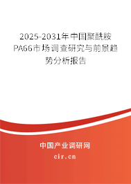 2025-2031年中國(guó)聚酰胺PA66市場(chǎng)調(diào)查研究與前景趨勢(shì)分析報(bào)告