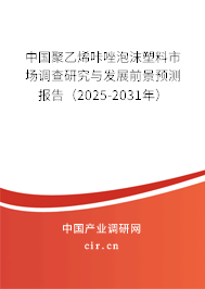 中國聚乙烯咔唑泡沫塑料市場調(diào)查研究與發(fā)展前景預(yù)測報(bào)告（2025-2031年）