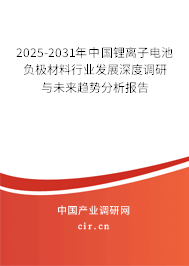 2025-2031年中國鋰離子電池負極材料行業(yè)發(fā)展深度調(diào)研與未來趨勢分析報告 2025-2031年中國鋰離子電池負極材料行業(yè)發(fā)展深度調(diào)研與未來趨勢分析報告