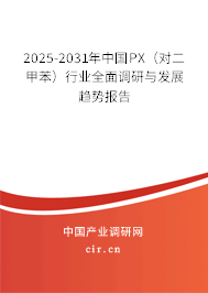 2025-2031年中國PX（對二甲苯）行業(yè)全面調(diào)研與發(fā)展趨勢報告