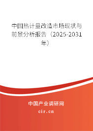 中國熱計量改造市場現(xiàn)狀與前景分析報告(2025-2031年) 中國熱計量改造市場現(xiàn)狀與前景分析報告(2025-2031年)