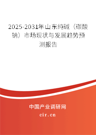 2025-2031年山東純堿(碳酸鈉)市場現(xiàn)狀與發(fā)展趨勢預測報告 2025-2031年山東純堿(碳酸鈉)市場現(xiàn)狀與發(fā)展趨勢預測報告
