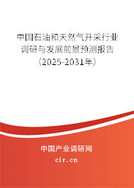 中國石油和天然氣開采行業(yè)調(diào)研與發(fā)展前景預(yù)測報(bào)告（2025-2031年）
