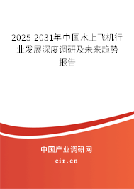 2025-2031年中國水上飛機行業(yè)發(fā)展深度調(diào)研及未來趨勢報告 2025-2031年中國水上飛機行業(yè)發(fā)展深度調(diào)研及未來趨勢報告