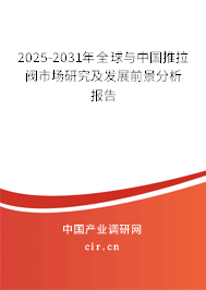 2025-2031年全球與中國推拉閥市場研究及發(fā)展前景分析報告