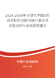 2024-2030年全球與中國X射線無損檢測探測器行業(yè)現狀深度調研與發(fā)展趨勢報告 2024-2030年全球與中國X射線無損檢測探測器行業(yè)現狀深度調研與發(fā)展趨勢報告
