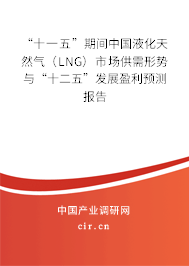 “十一五”期間中國(guó)液化天然氣（LNG）市場(chǎng)供需形勢(shì)與“十二五”發(fā)展盈利預(yù)測(cè)報(bào)告