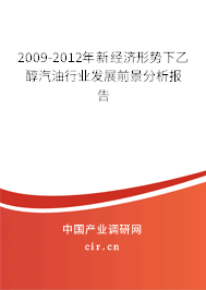 2009-2012年新經(jīng)濟(jì)形勢(shì)下乙醇汽油行業(yè)發(fā)展前景分析報(bào)告 2009-2012年新經(jīng)濟(jì)形勢(shì)下乙醇汽油行業(yè)發(fā)展前景分析報(bào)告