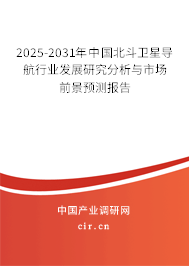 2025-2031年中國北斗衛(wèi)星導(dǎo)航行業(yè)發(fā)展研究分析與市場前景預(yù)測報(bào)告