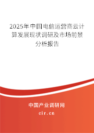 2025年中國電信運營商云計算發(fā)展現(xiàn)狀調(diào)研及市場前景分析報告