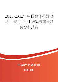 2025-2031年中國分子核酸檢測(NAT)行業(yè)研究與前景趨勢分析報告 2025-2031年中國分子核酸檢測(NAT)行業(yè)研究與前景趨勢分析報告