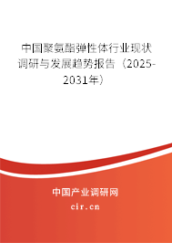 中國聚氨酯彈性體行業(yè)現(xiàn)狀調研與發(fā)展趨勢報告(2025-2031年) 中國聚氨酯彈性體行業(yè)現(xiàn)狀調研與發(fā)展趨勢報告(2025-2031年)