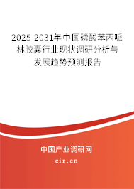 2025-2031年中國(guó)磷酸苯丙哌林膠囊行業(yè)現(xiàn)狀調(diào)研分析與發(fā)展趨勢(shì)預(yù)測(cè)報(bào)告 2025-2031年中國(guó)磷酸苯丙哌林膠囊行業(yè)現(xiàn)狀調(diào)研分析與發(fā)展趨勢(shì)預(yù)測(cè)報(bào)告