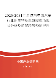 2025-2031年全球與中國汽車行業(yè)用生物基聚酰胺市場現(xiàn)狀分析及前景趨勢預(yù)測報(bào)告