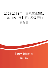 2025-2031年中國(guó)氫氧化鎳鈷(MHP)行業(yè)研究及發(fā)展前景報(bào)告 2025-2031年中國(guó)氫氧化鎳鈷(MHP)行業(yè)研究及發(fā)展前景報(bào)告