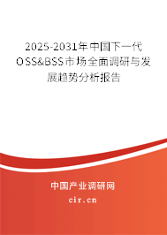 2025-2031年中國下一代OSS&BSS市場(chǎng)全面調(diào)研與發(fā)展趨勢(shì)分析報(bào)告