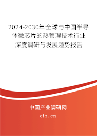 2024-2030年全球與中國半導(dǎo)體微芯片的熱管理技術(shù)行業(yè)深度調(diào)研與發(fā)展趨勢報告