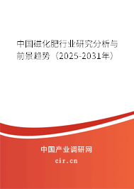 中國磁化肥行業(yè)研究分析與前景趨勢(2025-2031年) 中國磁化肥行業(yè)研究分析與前景趨勢(2025-2031年)