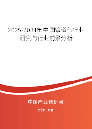 2025-2031年中國(guó)管道氣行業(yè)研究與行業(yè)前景分析 2025-2031年中國(guó)管道氣行業(yè)研究與行業(yè)前景分析