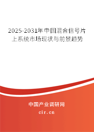 2025-2031年中國混合信號片上系統(tǒng)市場現(xiàn)狀與前景趨勢