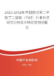 2025-2031年中國聚對苯二甲酸丁二醇酯（PBT）行業(yè)現(xiàn)狀研究分析及市場前景預(yù)測報(bào)告