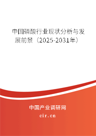 中國磷酸行業(yè)現(xiàn)狀分析與發(fā)展前景(2025-2031年) 中國磷酸行業(yè)現(xiàn)狀分析與發(fā)展前景(2025-2031年)