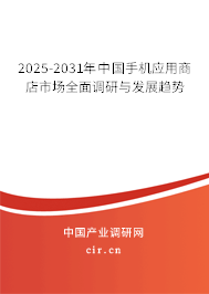 2025-2031年中國(guó)手機(jī)應(yīng)用商店市場(chǎng)全面調(diào)研與發(fā)展趨勢(shì) 2025-2031年中國(guó)手機(jī)應(yīng)用商店市場(chǎng)全面調(diào)研與發(fā)展趨勢(shì)