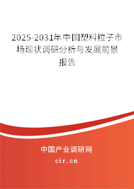 2025-2031年中國(guó)塑料粒子市場(chǎng)現(xiàn)狀調(diào)研分析與發(fā)展前景報(bào)告