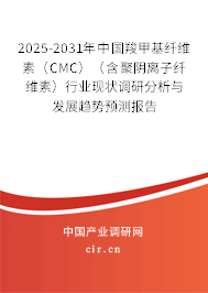 2025-2031年中國羧甲基纖維素(CMC)(含聚陰離子纖維素)行業(yè)現(xiàn)狀調(diào)研分析與發(fā)展趨勢預(yù)測報告 2025-2031年中國羧甲基纖維素(CMC)(含聚陰離子纖維素)行業(yè)現(xiàn)狀調(diào)研分析與發(fā)展趨勢預(yù)測報告
