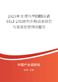 2025年全球與中國糖尿病SGLT-2抑制劑市場調(diào)查研究與發(fā)展前景預(yù)測報告 2025年全球與中國糖尿病SGLT-2抑制劑市場調(diào)查研究與發(fā)展前景預(yù)測報告
