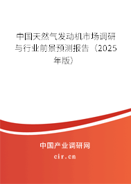 中國天然氣發(fā)動機市場調研與行業(yè)前景預測報告(2024年版) 中國天然氣發(fā)動機市場調研與行業(yè)前景預測報告(2024年版)