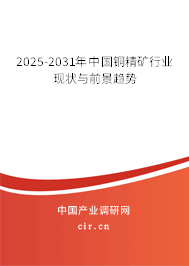 2025-2031年中國銅精礦行業(yè)現(xiàn)狀與前景趨勢