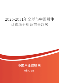 2025-2031年全球與中國(guó)引伸計(jì)市場(chǎng)分析及前景趨勢(shì)