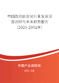中國政府信息化行業(yè)發(fā)展深度調(diào)研與未來趨勢報告（2025-2031年）