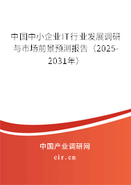 中國(guó)中小企業(yè)IT行業(yè)發(fā)展調(diào)研與市場(chǎng)前景預(yù)測(cè)報(bào)告(2025-2031年) 中國(guó)中小企業(yè)IT行業(yè)發(fā)展調(diào)研與市場(chǎng)前景預(yù)測(cè)報(bào)告(2025-2031年)