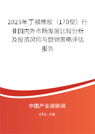 2023年丁腈橡膠（170型）行業(yè)國內(nèi)外市場發(fā)展比較分析及投資風險與營銷策略評估報告