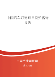 中國汽車燈泡項目投資咨詢報告