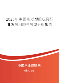 2025年中國電動塑膠玩具行業(yè)發(fā)展回顧與展望分析報告 2025年中國電動塑膠玩具行業(yè)發(fā)展回顧與展望分析報告
